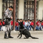 La obediencia de los perros hacia sus guías sorpendió a los niños.