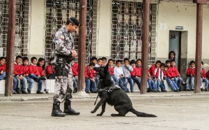 La obediencia de los perros hacia sus guías sorpendió a los niños.
