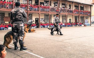 Los canes fueron el deleite de los niños durante la presentación.