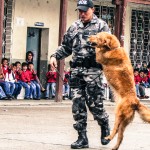 Los perros efectuaron varios trucos para el deleite de los escolares.