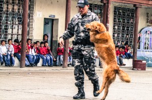 Los perros efectuaron varios trucos para el deleite de los escolares.
